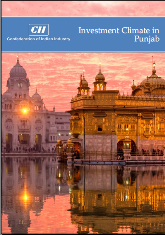 Investment Climate in Punjab